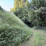 Thumbnail of post image 097