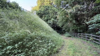 Thumbnail of post image 023