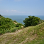 Thumbnail of post image 150