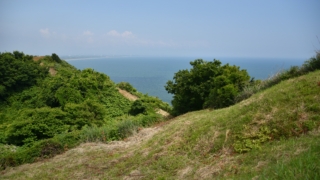 Thumbnail of post image 121