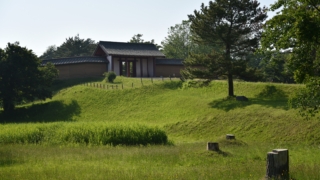 Thumbnail of post image 187