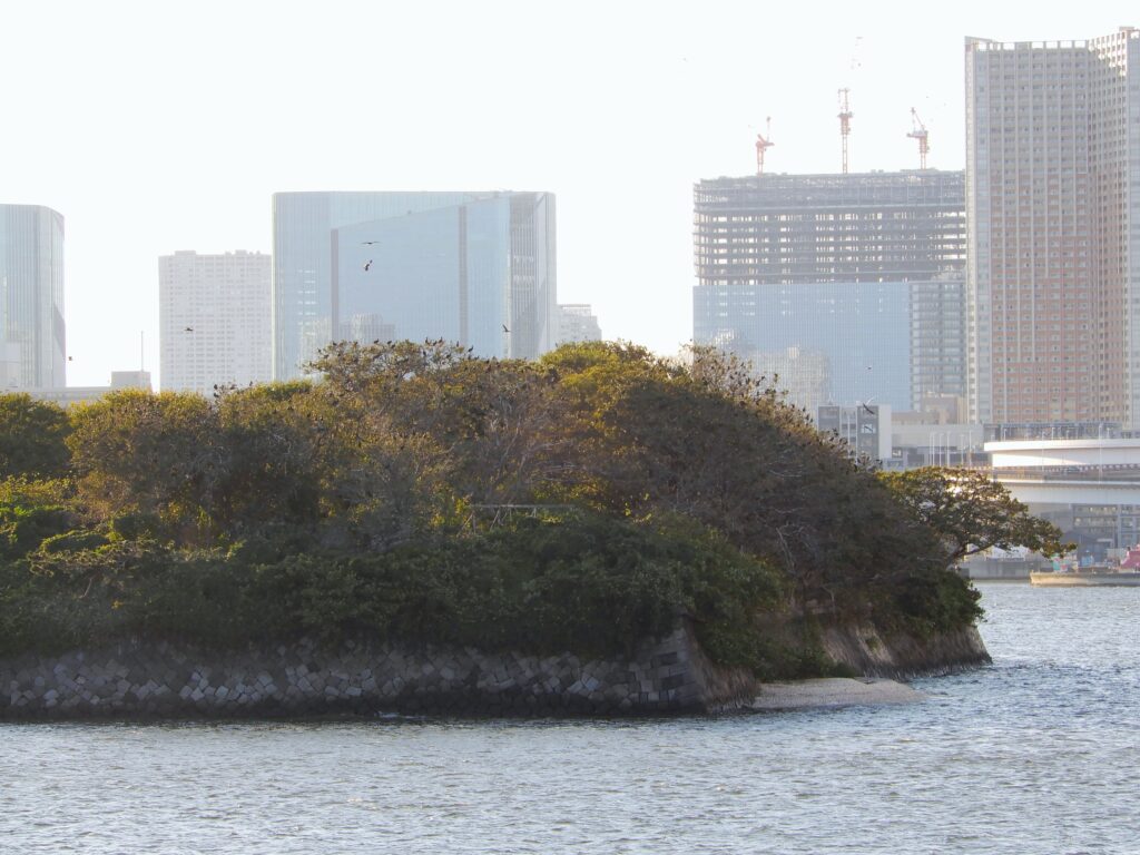 東京都の第六台場