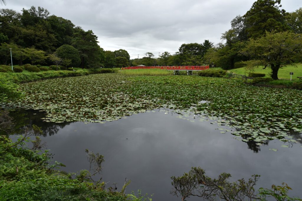 埼玉県の岩槻城 菖蒲沼