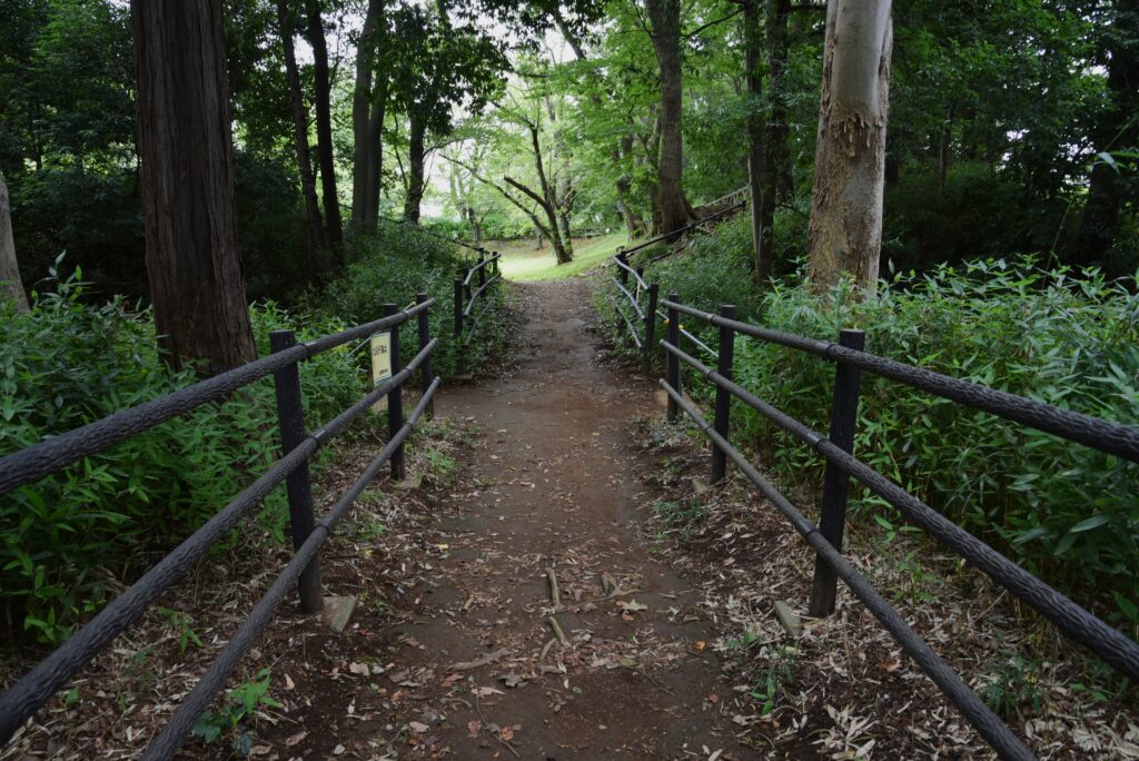 埼玉県の岩槻城 土橋