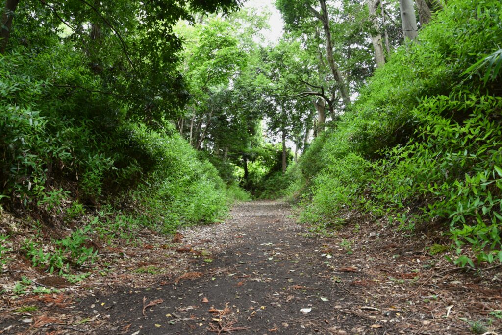 埼玉県の岩槻城 横堀