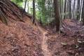 二の丸登城路