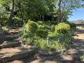 城址公園 土塁上部