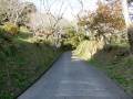 登城路