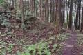 東虎口前 土橋