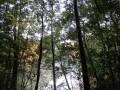治部池