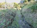 登城口 水往来