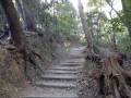 山崎城 主郭登城路