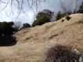 興国寺城 本丸土塁