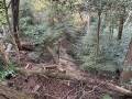山崎城 主郭切岸
