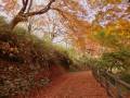 岩切城 登城路
